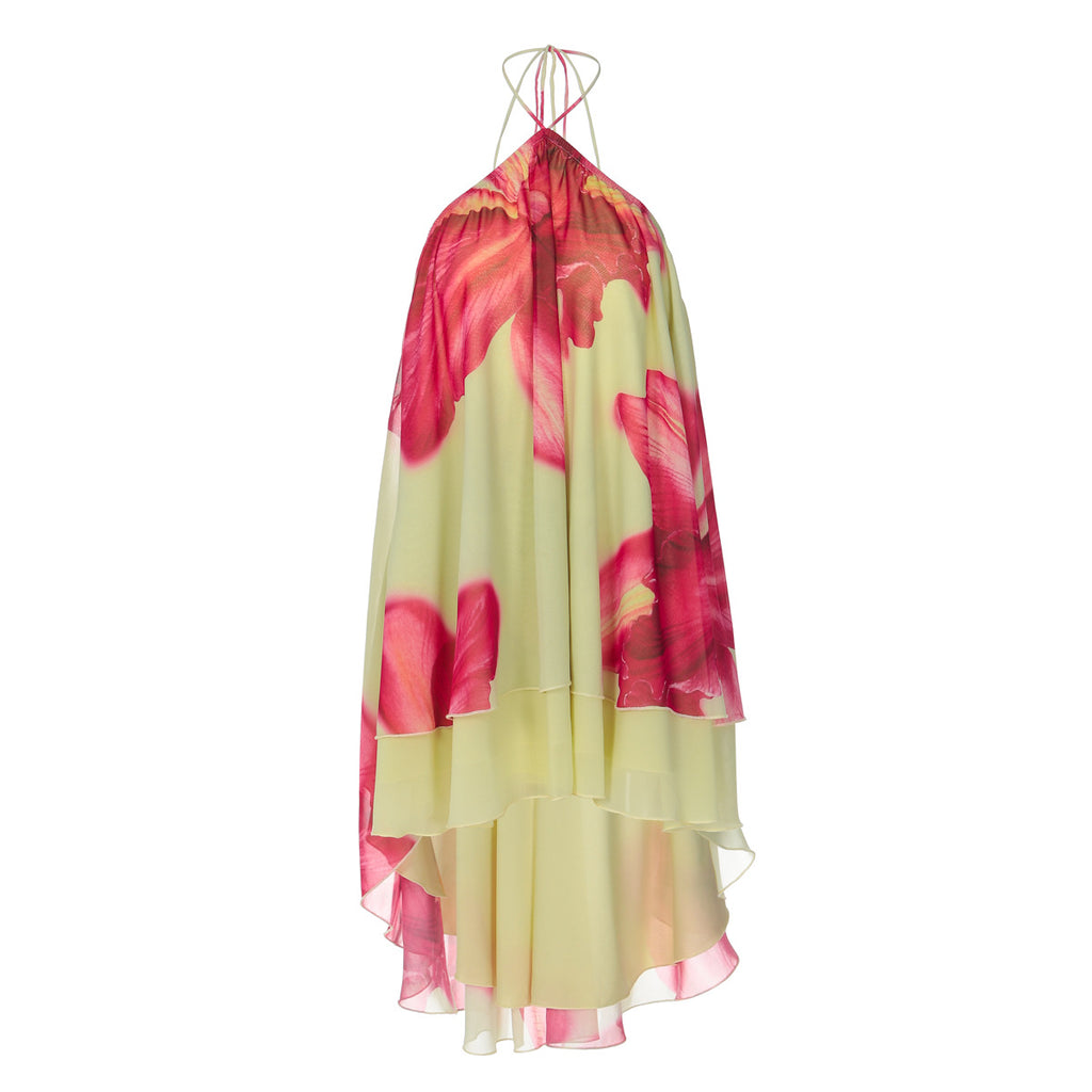 SpringSummer New Arrival Printed Asymmetrical Skirt Backless Casual Resort Chic Body-Limiting Dress For Women